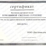 6682b5dd51d86_sertifikat_page-0001