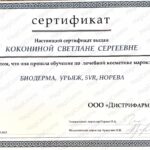 6682b5dd7351c_sertifikat_page-0002